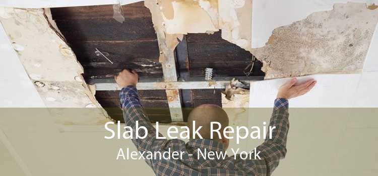 Slab Leak Repair Alexander - New York