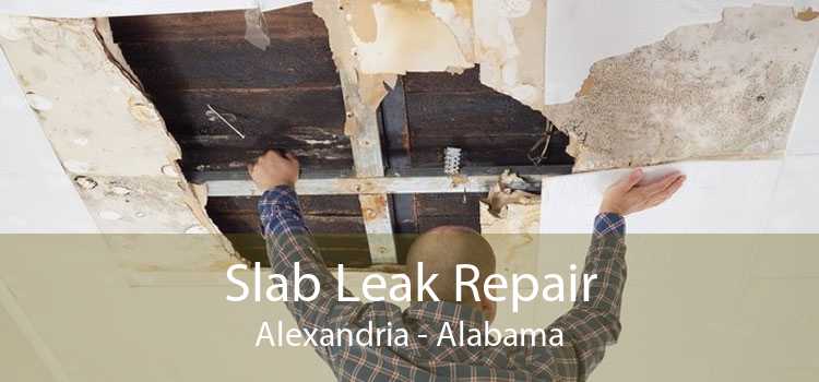 Slab Leak Repair Alexandria - Alabama