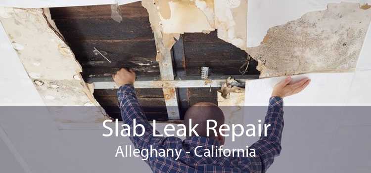 Slab Leak Repair Alleghany - California