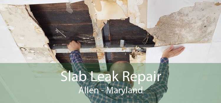 Slab Leak Repair Allen - Maryland