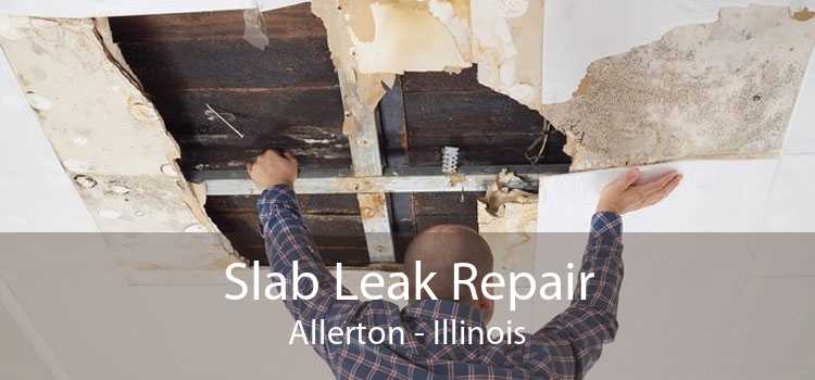 Slab Leak Repair Allerton - Illinois