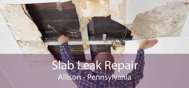 Slab Leak Repair Allison - Pennsylvania