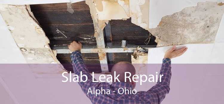 Slab Leak Repair Alpha - Ohio