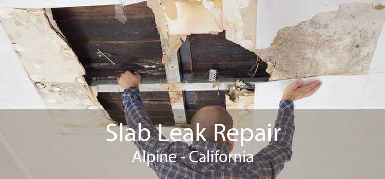 Slab Leak Repair Alpine - California