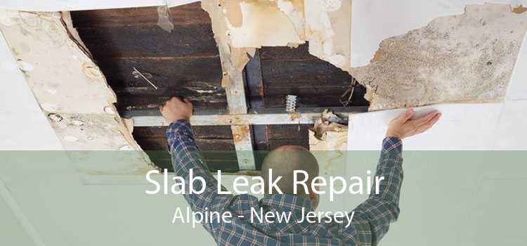 Slab Leak Repair Alpine - New Jersey