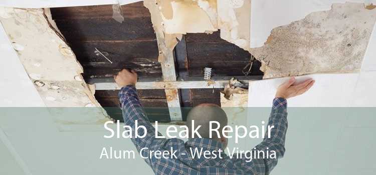 Slab Leak Repair Alum Creek - West Virginia