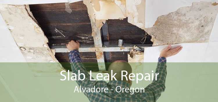 Slab Leak Repair Alvadore - Oregon