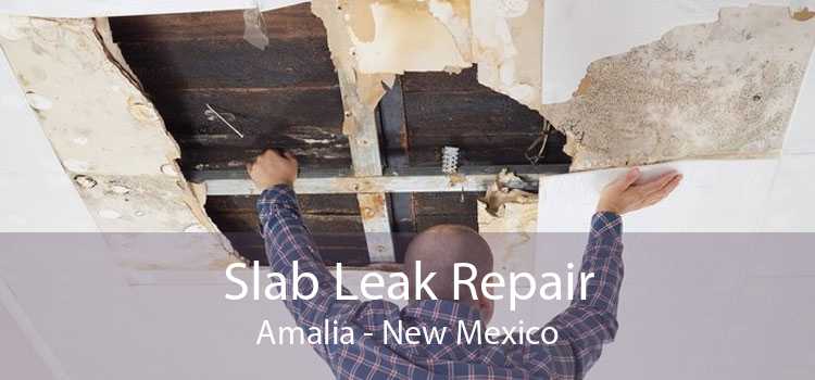 Slab Leak Repair Amalia - New Mexico