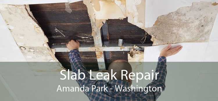 Slab Leak Repair Amanda Park - Washington