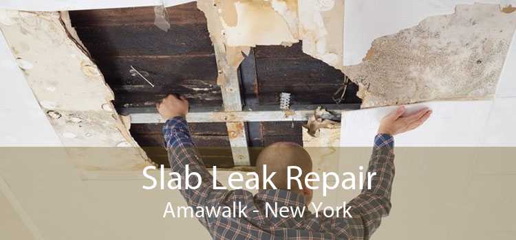 Slab Leak Repair Amawalk - New York