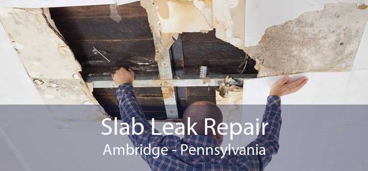 Slab Leak Repair Ambridge - Pennsylvania
