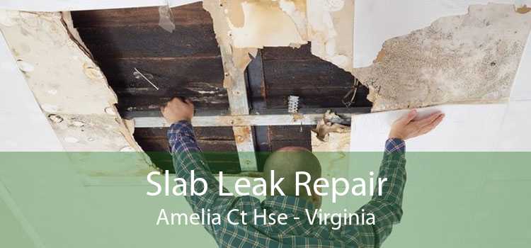 Slab Leak Repair Amelia Ct Hse - Virginia