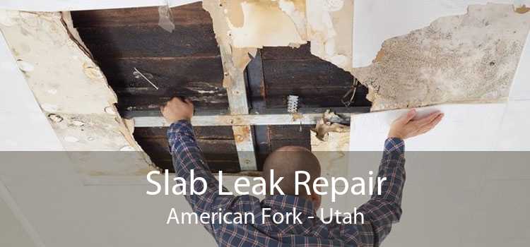 Slab Leak Repair American Fork - Utah