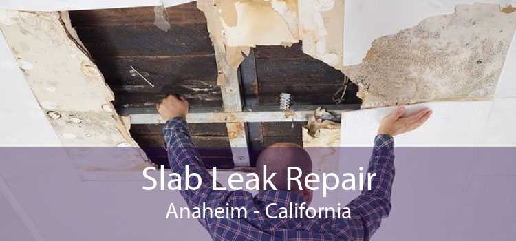 Slab Leak Repair Anaheim - California