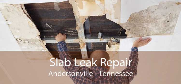 Slab Leak Repair Andersonville - Tennessee