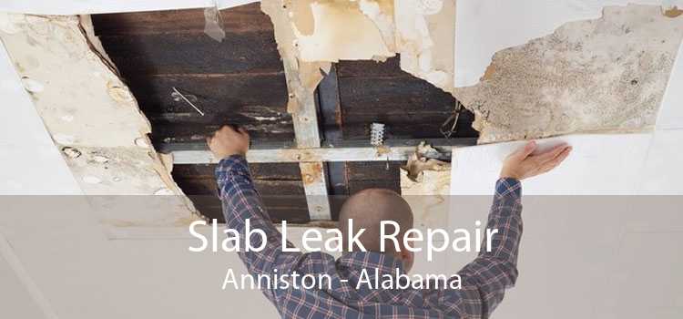 Slab Leak Repair Anniston - Alabama