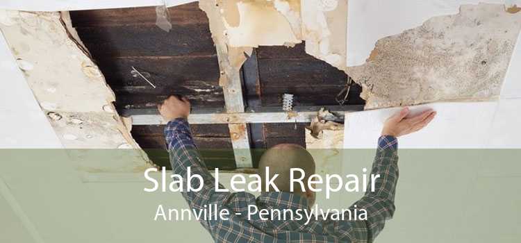 Slab Leak Repair Annville - Pennsylvania