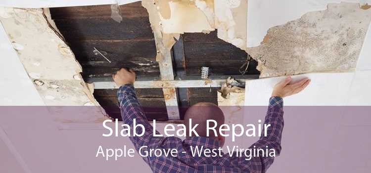 Slab Leak Repair Apple Grove - West Virginia