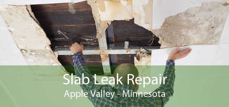 Slab Leak Repair Apple Valley - Minnesota