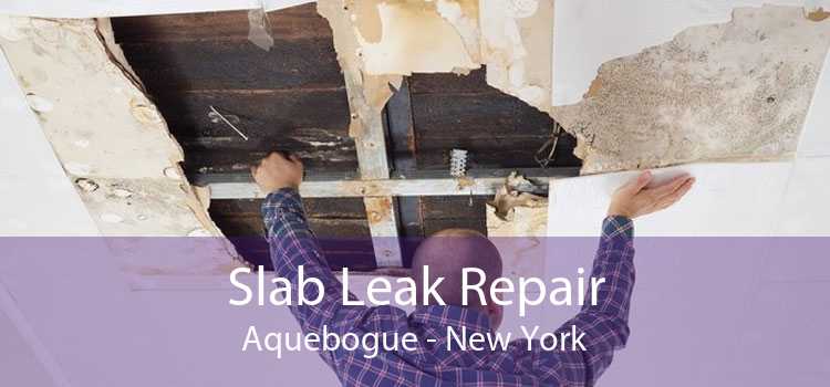 Slab Leak Repair Aquebogue - New York