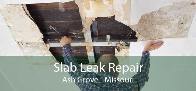 Slab Leak Repair Ash Grove - Missouri