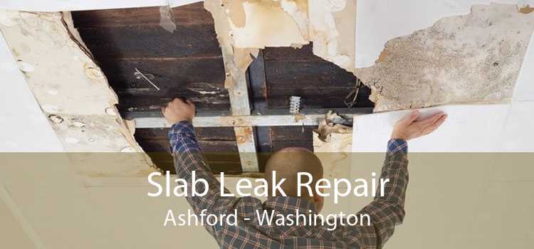 Slab Leak Repair Ashford - Washington