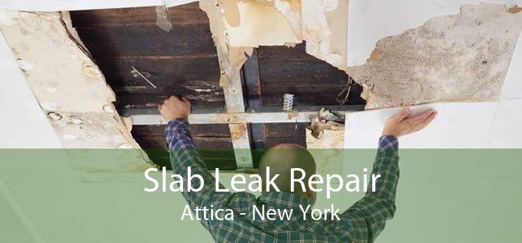 Slab Leak Repair Attica - New York