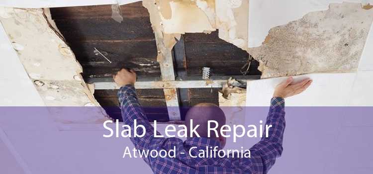 Slab Leak Repair Atwood - California