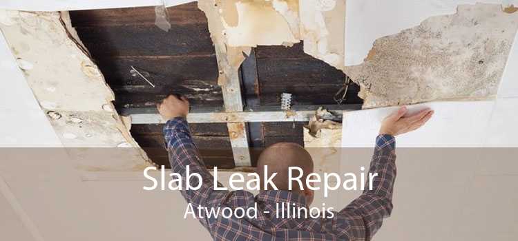 Slab Leak Repair Atwood - Illinois