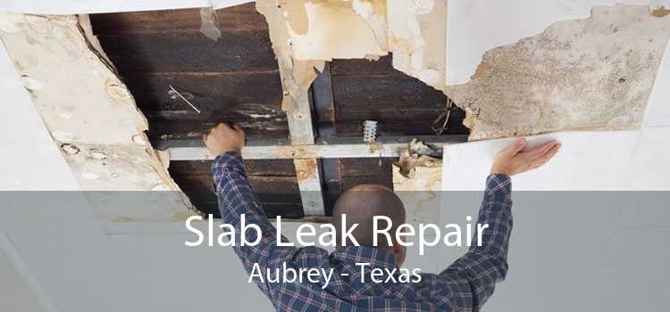 Slab Leak Repair Aubrey - Texas
