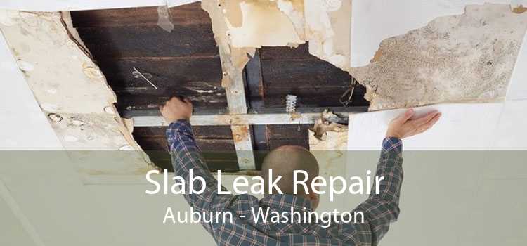 Slab Leak Repair Auburn - Washington