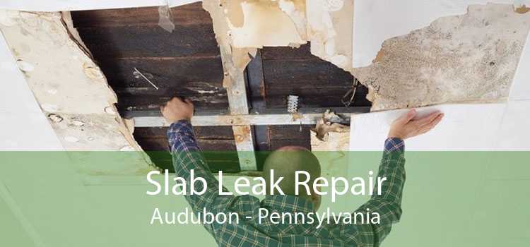 Slab Leak Repair Audubon - Pennsylvania
