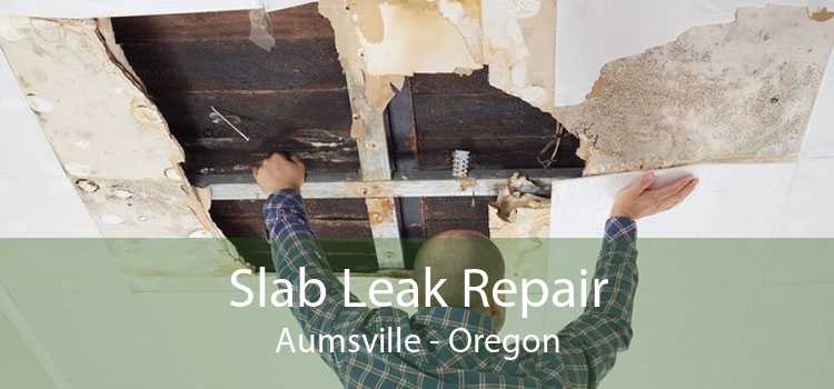 Slab Leak Repair Aumsville - Oregon