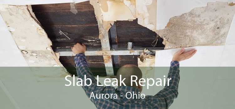Slab Leak Repair Aurora - Ohio