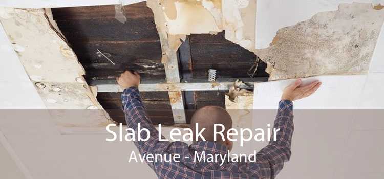 Slab Leak Repair Avenue - Maryland