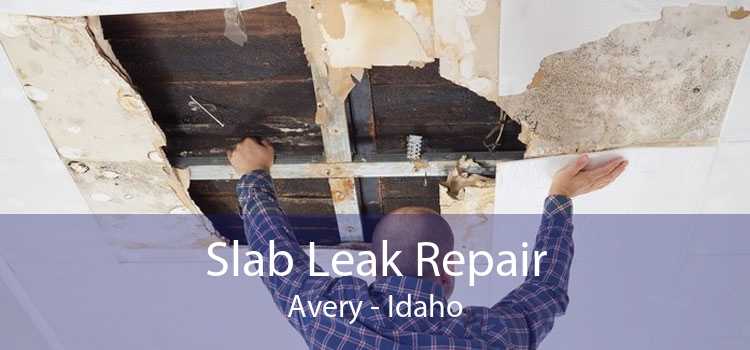 Slab Leak Repair Avery - Idaho
