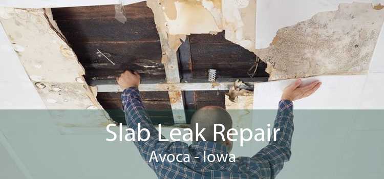 Slab Leak Repair Avoca - Iowa