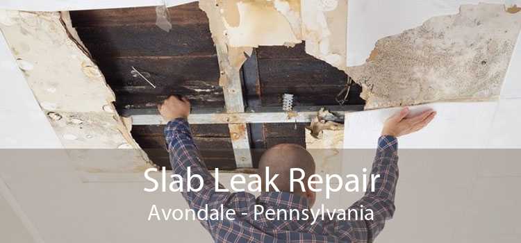 Slab Leak Repair Avondale - Pennsylvania