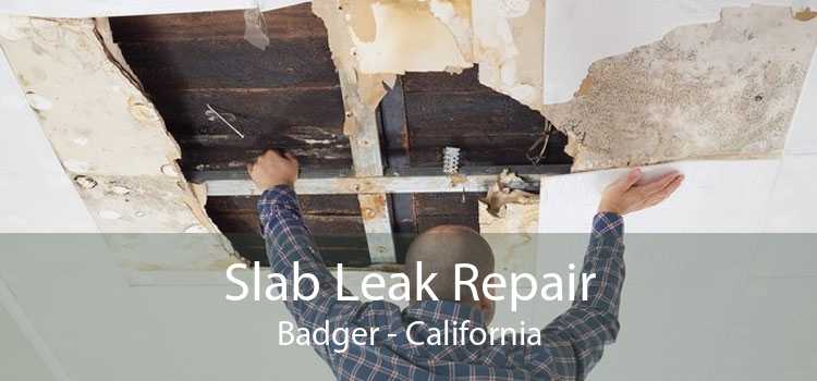 Slab Leak Repair Badger - California