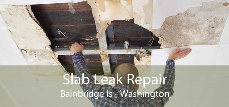 Slab Leak Repair Bainbridge Is - Washington