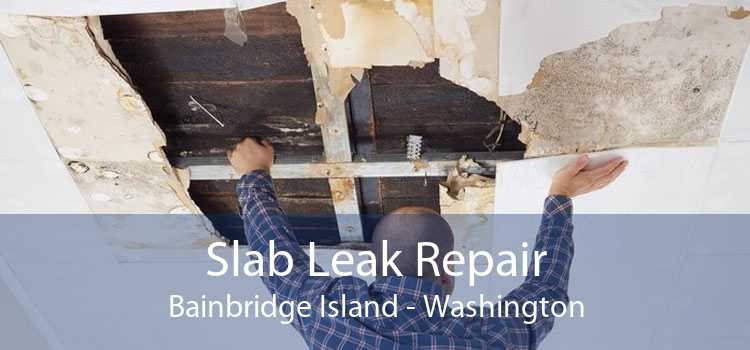 Slab Leak Repair Bainbridge Island - Washington