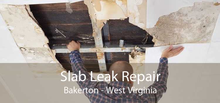 Slab Leak Repair Bakerton - West Virginia