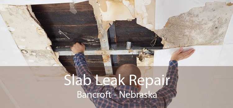 Slab Leak Repair Bancroft - Nebraska