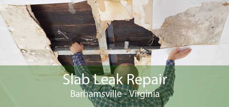 Slab Leak Repair Barhamsville - Virginia