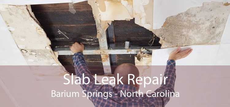 Slab Leak Repair Barium Springs - North Carolina