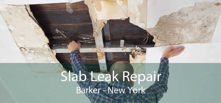 Slab Leak Repair Barker - New York