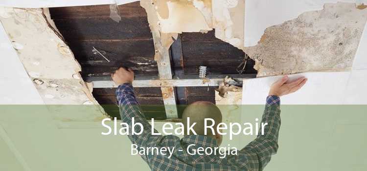 Slab Leak Repair Barney - Georgia