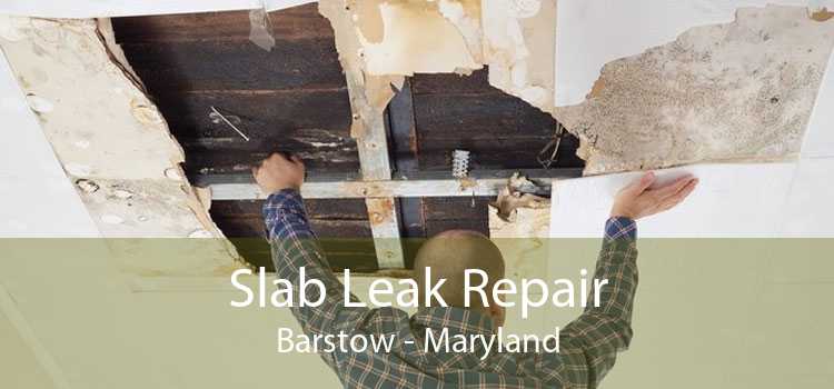 Slab Leak Repair Barstow - Maryland