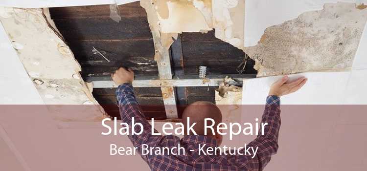 Slab Leak Repair Bear Branch - Kentucky