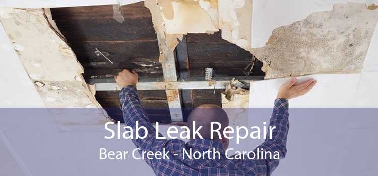 Slab Leak Repair Bear Creek - North Carolina